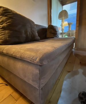 braunes Sofa- couch Bild 3