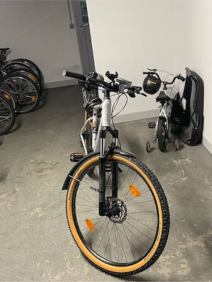 Focus Mountainbike 29 zoll Bild 3