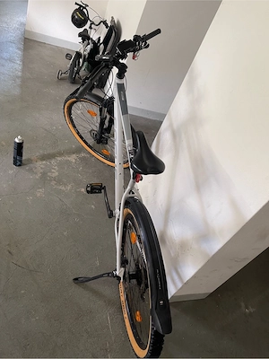 Focus Mountainbike 29 zoll Bild 2