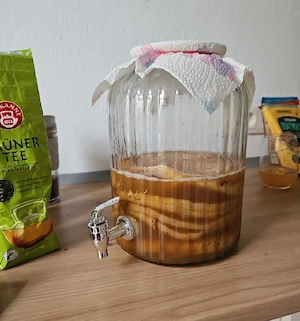 Scobie SCOBY Kombucha Pilz starter Fermentation