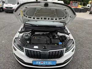 Skoda Karoq Bild 19