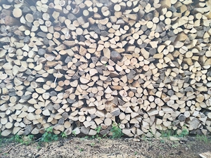 Der Nächste Winter kommt bestimmt, jetzt trockenes Brennholz hart einlagen Günstig!  Bild 2