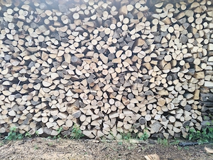 Der Nächste Winter kommt bestimmt, jetzt trockenes Brennholz hart einlagen Günstig! 