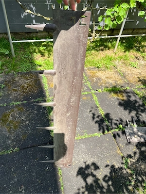 Rasenkanten Bild 2