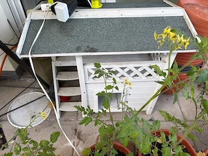 Katzenhaus Bild 2