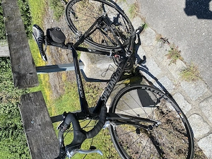 Rennrad Herren, Spezialized, Roubaix.comp.,RH 51 Bild 2