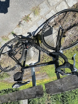 Rennrad Herren, Spezialized, Roubaix.comp.,RH 51