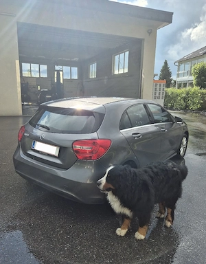 Mercedes-Benz A 180 Bild 6