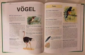 Wissen für Kinder  -  Tiere  Bild 3