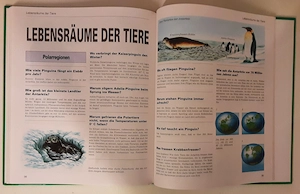 Wissen für Kinder  -  Tiere  Bild 4