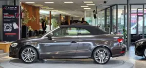 Audi A3 Bild 6