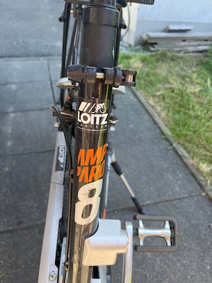 Ebike mit tiefem Einstieg Bild 2