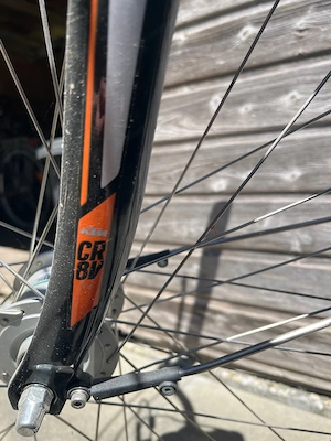 Ebike mit tiefem Einstieg Bild 4