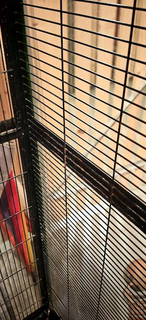 Voliere für Vögel oder Kleintiere Bild 3