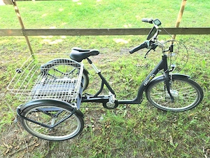 eBike Dreirad für Senioren Bild 2