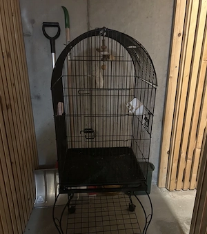 Vögel Käfig  Bild 3
