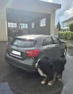 Mercedes-Benz A 180 Bild 3