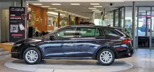 Skoda Octavia Bild 4