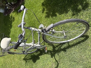Damen City Fahrrad von SIMPLON Bild 3