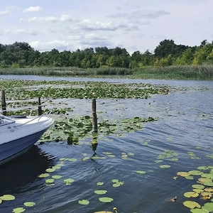 Vermiete Ferienhaus in Wesenberg mit Boot  Bild 9