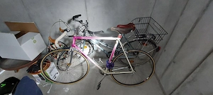 Daccordi Herren-Rennrad 