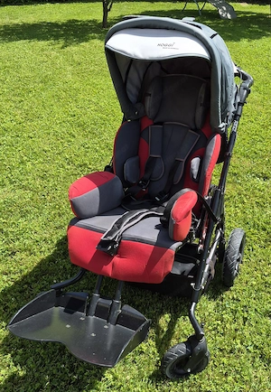 Rehabuggy klappbar Bild 5