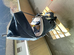 Deuter Kid Comfort Kindertrage Bild 10