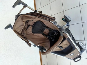 Buggy aus Großeltern-Bestand Bild 5