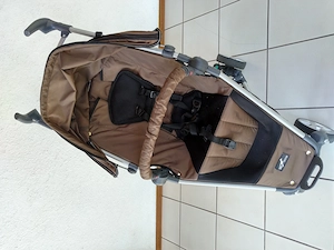 Buggy aus Großeltern-Bestand Bild 3