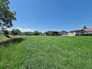 Privatverkauf: 321 m2 Baugrund in Altach mit Privatstraße Bild 3