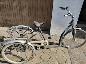 Dreirad für Erwachsene