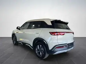 BYD Atto 2  Bild 5
