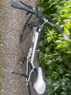 Trekking Bike Kraftstoff Bild 4