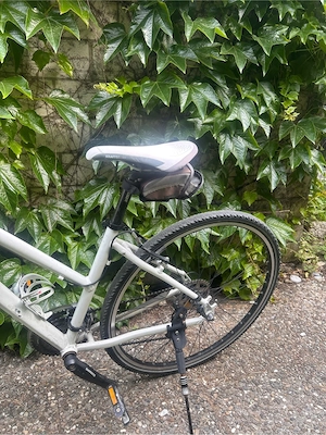 Trekking Bike Kraftstoff Bild 3