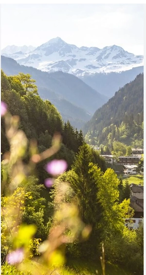Mietwohnung Montafon gesucht!