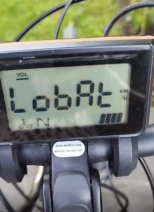 Winora Comfort Line C1 E-Bike   Bastlerfahrzeug   Defekt Bild 5