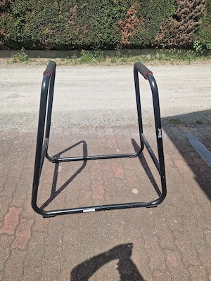 trizepstrainer Bild 2