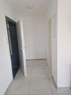 Vermiete gut gelegene Ein Zimmer Wohnung in Lustenau nähe Schweizer Grenze Bild 2