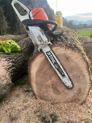 Stihlms400 Bild 2
