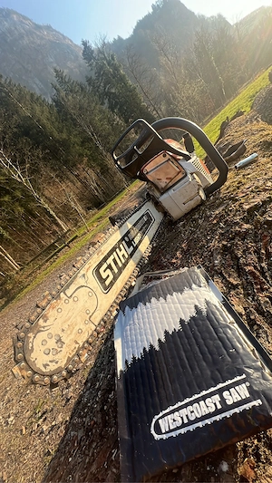Stihlms400 Bild 5