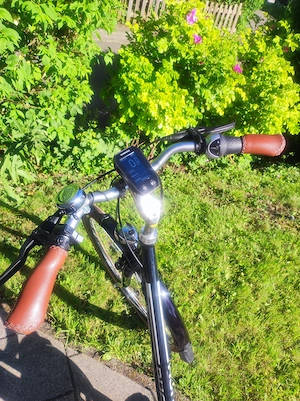 Puch Waffenrad E-bike Bild 9