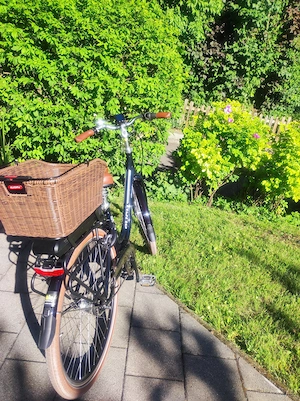 Puch Waffenrad E-bike Bild 6