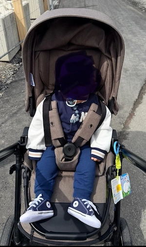 ABC Design 3-in-1 Kinderwagen "Nature" inkl. 360  Isofix-Babyschale & Zubehör Bild 3