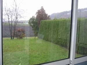 2 Zimmer Gartenwohnung Bild 6