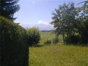 2 Zimmer Gartenwohnung Bild 9