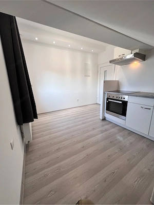 Lustenau 1 Zimmerwohnung  Bild 4