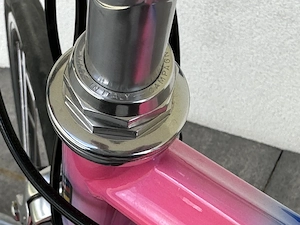 COLNAGO Lampre Camenzind World Champion Edition Rennrad Bild 10