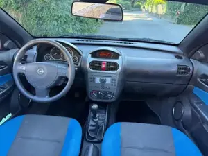Opel Tigra Bild 3