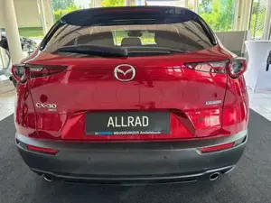 Mazda CX-30 Bild 6