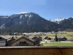 Viel Platz & Komfort- 82 m  DG-Wohnung in Schoppernau Bild 2